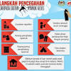Terdapat dua jenis nyamuk aedes: 1