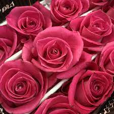 Maybe you would like to learn more about one of these? Miami Flowers Wholesale Facebook