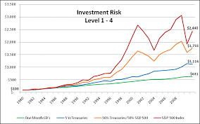 does taking on investment risk deliver higher returns