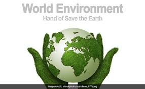 Today it is widely celebrated in more than 100 countries. World Environment Day Quotes 10 Inspiring Lines On Environment