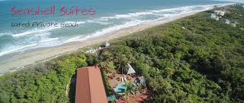 Enjoy Nature Privacy And Comfort At Florida S Best Beach Resort Hilton garden inn tampa airport westshore 4. beach resort