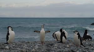 This means i earn a commission if you click on any of them and buy something. Mont Blanc Glacier Raises Alarm As Officials Order Emergency Protection Measures Cbs News