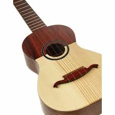 Image result for Cavacoa