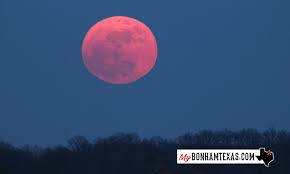 Our proprietary full moon calendar will calculate the date and time for every full. The Pink Moon Will Be 2021 S First Supermoon To Light Up The Night Sky This Month My Bonham Texas