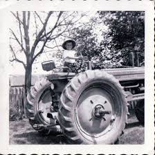 Image result for Dark Harvest Gold 1977 Fedders