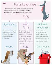 Products company museum recruit news contact a synonym of. Synonyms Related Keyphrases Word Forms Yoast Seo Features Yoast