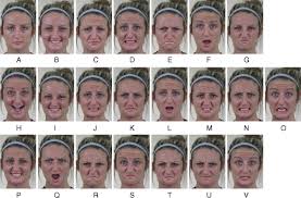 Compound Facial Expressions Of Emotion Pnas