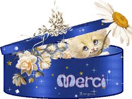 Map Mie De La Brioche Marron Foncee Supertoinette