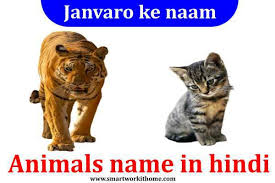 Will you be able to identify all 40 of these interesting creatures, or will you have to look them up? Animals Name In Hindi Janvaro Ke Naam Animals Name In Hindi List Of Animals In Hindi Water Animals In Hindi Pet Animals Name In Hindi Indian Animals Name List In Hindi