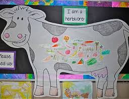 The Sweet Life Hungry Animals Herbivore Activities Omnivores Activities Animal Science