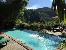 Hotels in negeri sembilan, malaysia. Cendawan Cheese The Dusun Mantin Negeri Sembilan Facebook
