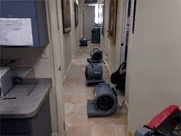 Maybe you would like to learn more about one of these? Mold Remediation Company Best Mold Inspection Katy Tx