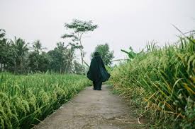 We did not find results for: Jalan Pagi Di Sawah Padi Adynura