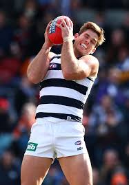Footy Players Tom Hawkins Of The Geelong Cats Hot Rugby Players Rugby Men Rugby Boys