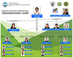 Barangay Nutrition Committee Bnc Lower Quirino Hill Barangay