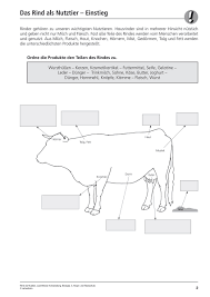 Sekundarstufe Unterrichtsmaterial Biologie