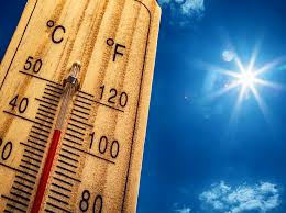 Süße lustige kätzchen chillen in der hitzewelle im sommer stockfoto. Mainlicht Cup 2018 Fallt Der Hitzewelle Zum Opfer 1 Fc Germania 08 E V Ober Roden