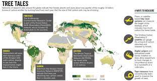 The analysis of forest certification systems was limited to those sharing common substantive forest management standards at the global level. The Hunt For The World S Missing Carbon Nature