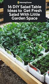 16 Diy Salad Table Ideas To Get Fresh Salad With Little Garden Space Diy Salad Little Garden Small Space Gardening