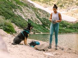 Heyburn state park , idaho. Expert Tips And Advice For Camping With Dogs