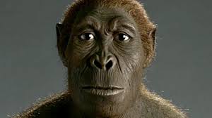 Geschichte Die Evolution Des Menschen Geolino