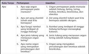 Tepatnya pada materi pembelajaran 1 subtema 2 pentingnya udara bersih bagi pernapasan. Lengkap Kunci Jawaban Tema 2 Kelas 5 Halaman 16 17 18 19 20 Subtema 1 51 52 53 54 55 56 Subtema 2 Page 2 Of 2 Topiktrend