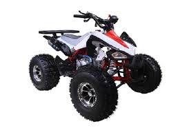 How fast does a 125cc four wheeler go. Tao Tao 125 Atv Ata 125 New Cheetah Taotao New Cheetah 125cc Online
