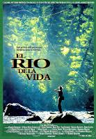 Ritmo salvaje, ver pelicula stomp the yard: Ver Pelicula Baile Urbano Ritmo Salvaje Online Gratis 2007