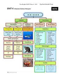 Savesave jenis interaksi antara haiwan for later. 7 Nota Wawasan Home Tuition Sungai Petani Penang ÙÙŠØ³Ø¨ÙˆÙƒ