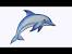 Dolphin Clipart