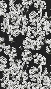 I'm sure you will be thrilled to see realistic flower drawings on a. Many Small White Flowers On A Black Background Seamless Watercolor Pattern Flowers Black Background White Flower Wallpaper Small White Flowers