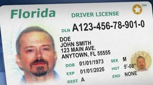 Florida_Department_of_Highway_Safety_and_Motor_Vehicles