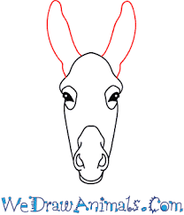 How To Draw A Donkey Face
