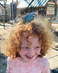 פרופיל של ‏‎Atlanta Safari Park‎‏‎