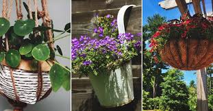 Check spelling or type a new query. 14 Diy Hanging Baskets To Display Your Floral Masterpieces