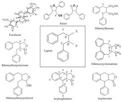 Image result for Phyllanthus odontadenius
