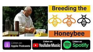 8) Duncan Simmons (UK)