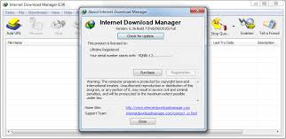 Internet download manager (idm) is a tool to increase download speeds by up to 5 times, resume and schedule downloads. Download Internet Download Manager 6 36 Build 7 File Wiki