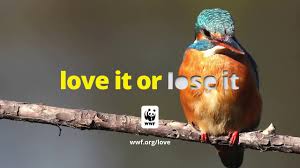 Другие песни kanye west & lil pump. Love It Or Lose It The Cycle Youtube