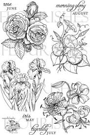 Pin By Maria Smolova On Tattoos Inspiration Realistic Flower Drawing Hand Drawn Vector Illustrations Hand Drawn Flowers