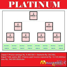Dan Bentuk Bisnis Akun Platinum Platinum