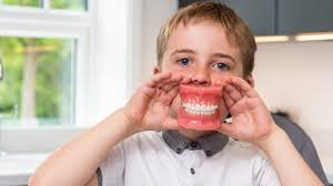 Clavell-Bate & Nephew Dental Surgeon