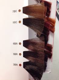 Matrix So Color Brown Copper And Brown Red Swatches In 2019