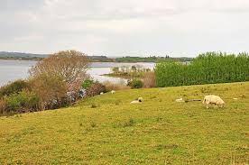 Check spelling or type a new query. Connemara Visite Dy Pays Des Lacs De Sardou En Irlande