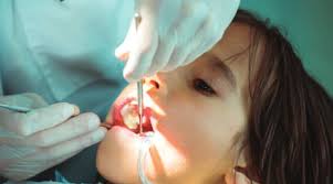 Participación, unidad y trabajo