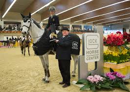 Baryard started to ride at the age of six and went on to be a very accompl. Sie Ist Die Strahlende Siegerin Im Csi3 Gaston Glock S Championat Malin Baryard Johnsson Swe Auf H M Cue Channa 42 C Nini Schabel Equestrian Worldwide Pferdesport Weltweit Eqwo Net