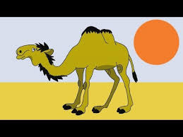 A camel is a very strange but at the same time very useful animal for a human being. How To Draw A Camel Step By Step Easy Animals Drawings Tutorials Youtube