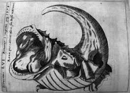 Strange Science Sea Monsters These drawings of sea monsters, taken from books written in europe centuries ago, prove that you don't need cgi to create a seriously incredible creature. strange science sea monsters