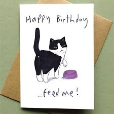 Paste all the pieces on the card to make a completely cute cat. Happy Birthday Feed Me Cat Card Paper Tiger