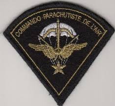 French Armed Forces Commando Para Unit 01 Patch Insignes Militaires Armee De L Air Militaire Francais